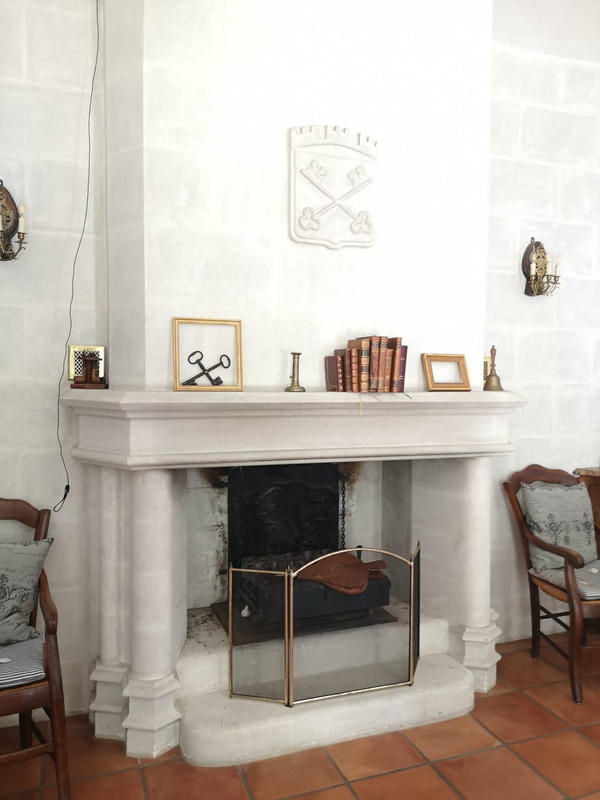 Mas - 500 m² - 16 pièces