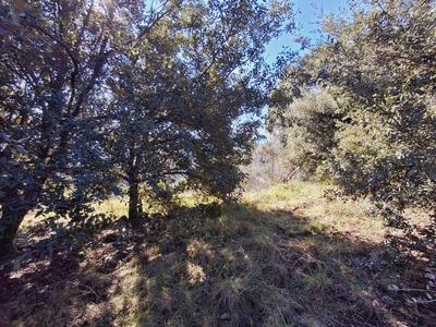 Maison - 25 m² - 1 pièce