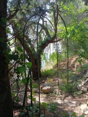 Maison - 251 m² - 10 pièces