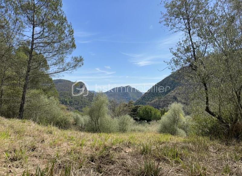 Terrain - 3 046 m²