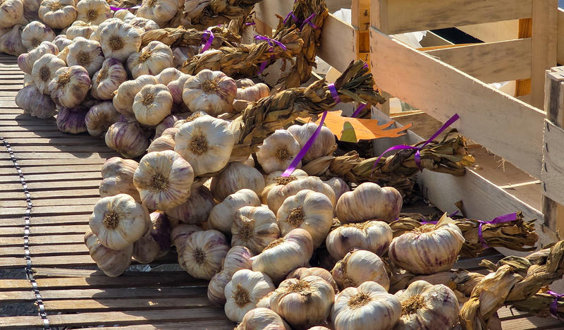 Foire mensuelle d'Aixe-sur-Vienne