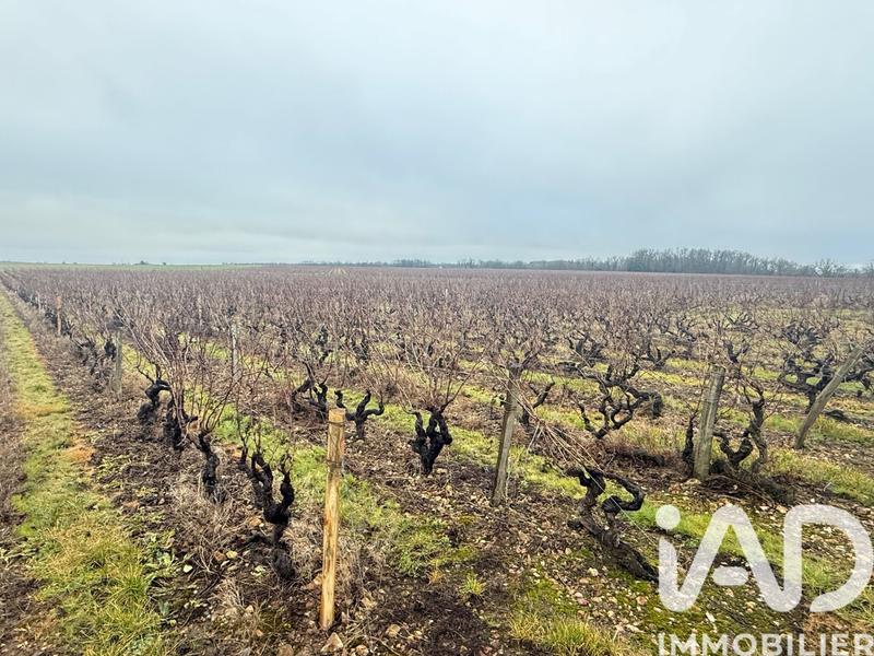 Terrain - 24 342 m²