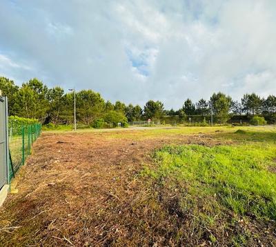 Terrain - 787 m²
