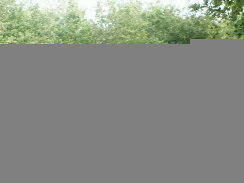 Randonnée de la Brenne