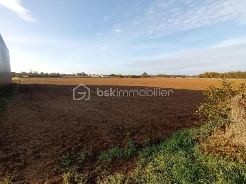 Terrain industriel - 9 653 m²