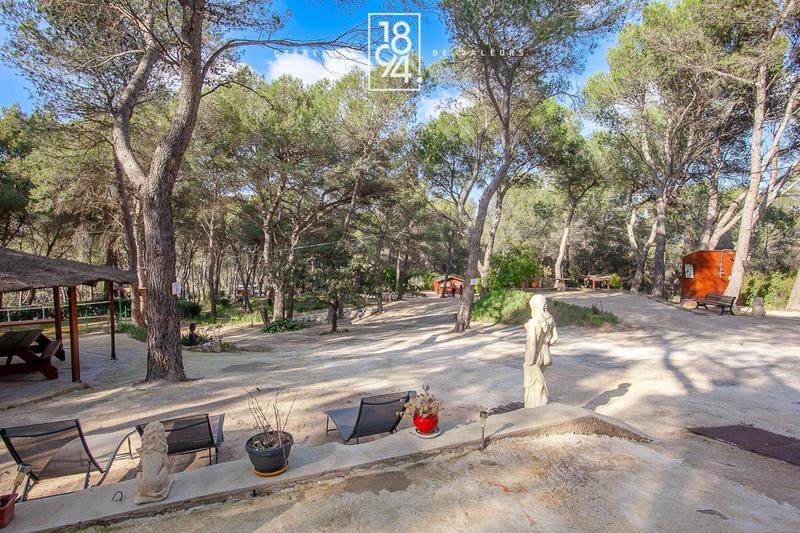 Terrain de loisirs - 7 103 m²