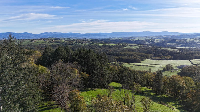 Propriété - 282 m² - 10 pièces