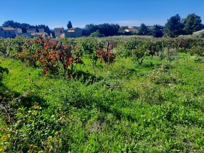 Terrain constructible - 260 m²