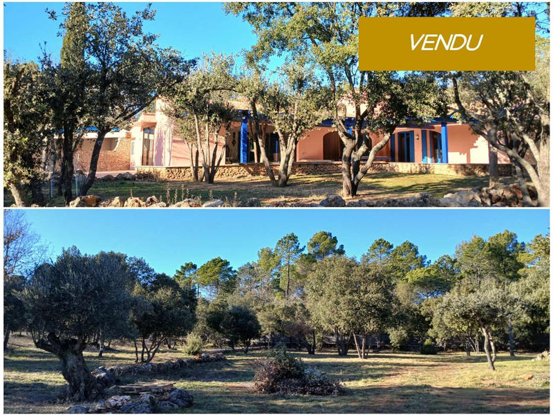 Viager - Maison - 190 m² - 5 pièces