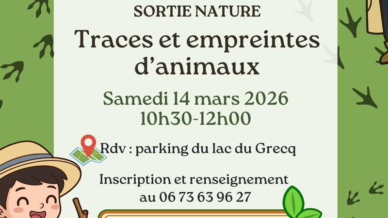 Sortie nature : Sur les traces et empreintes d'animaux