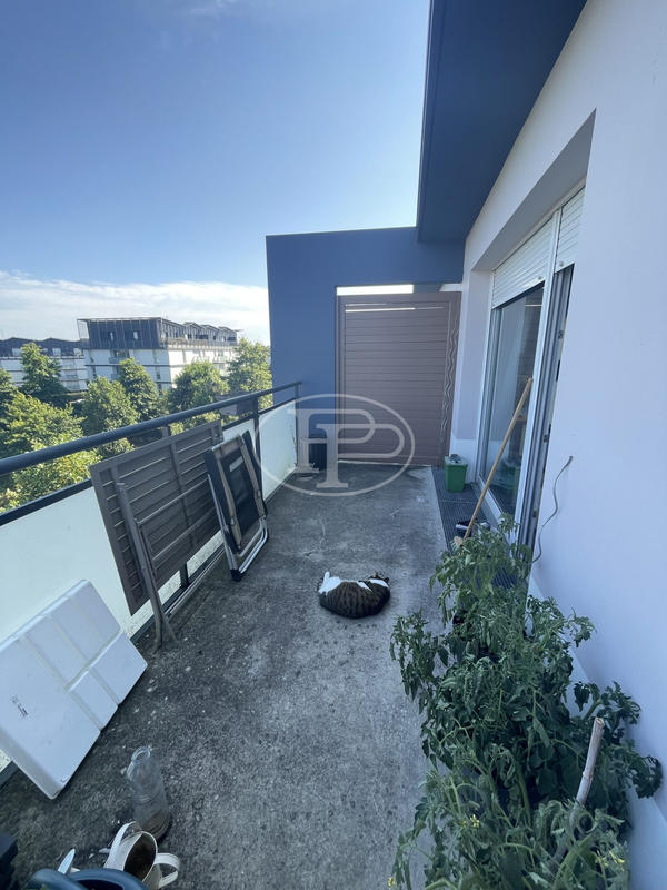 Appartement - 54 m² - 3 pièces