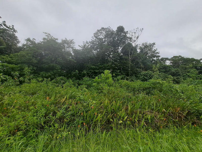 Terrain constructible - 3 444 m²