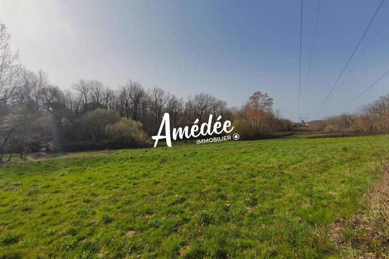 Terrain - 11 647 m²