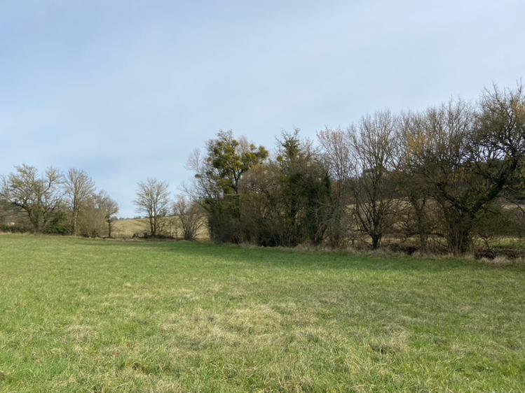 Corps de ferme - 300 m² - 10 pièces