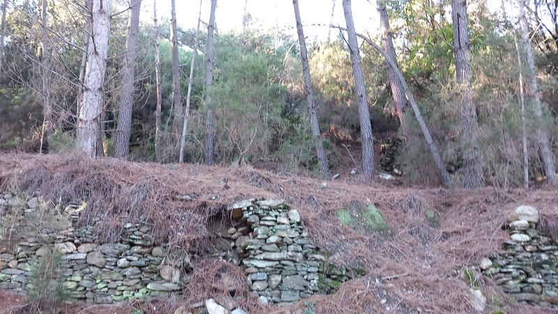 Terrain de loisirs - 31 439 m²