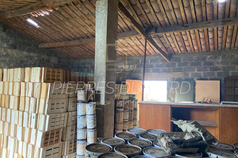 Terrain agricole - 7 745 m²