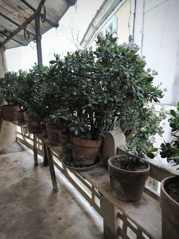 Maison de village - 178 m² - 7 pièces