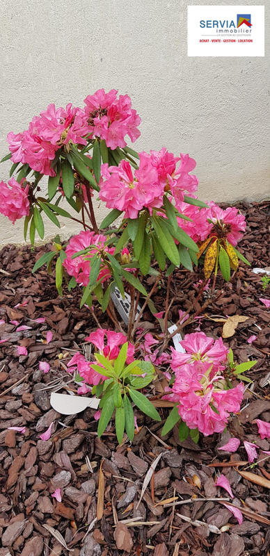 Maison - 150 m² - 7 pièces