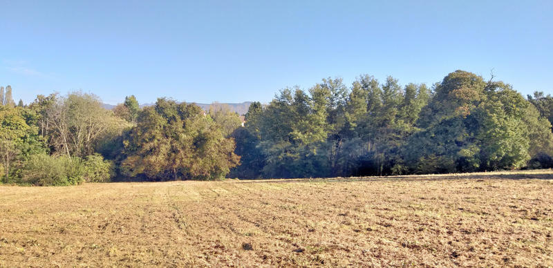 Terrain - 480 m²