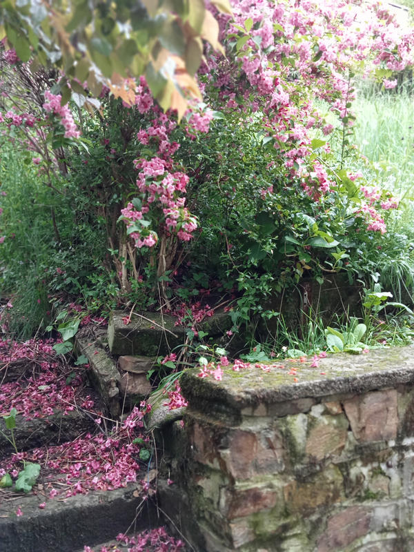 Maison - 116 m² - 6 pièces