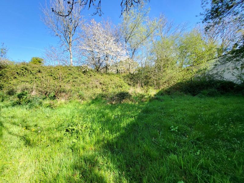 Hangar - 520 m² - 1 pièce