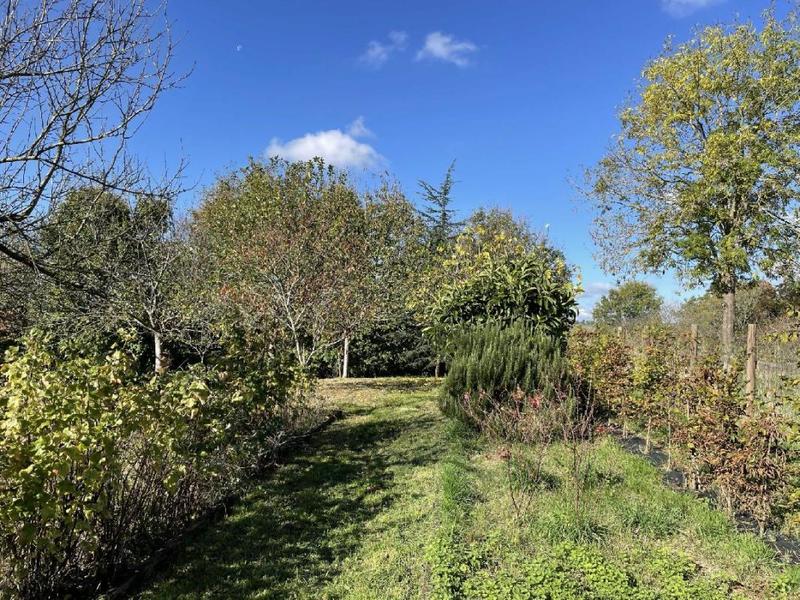 Maison - 142 m² - 2 pièces