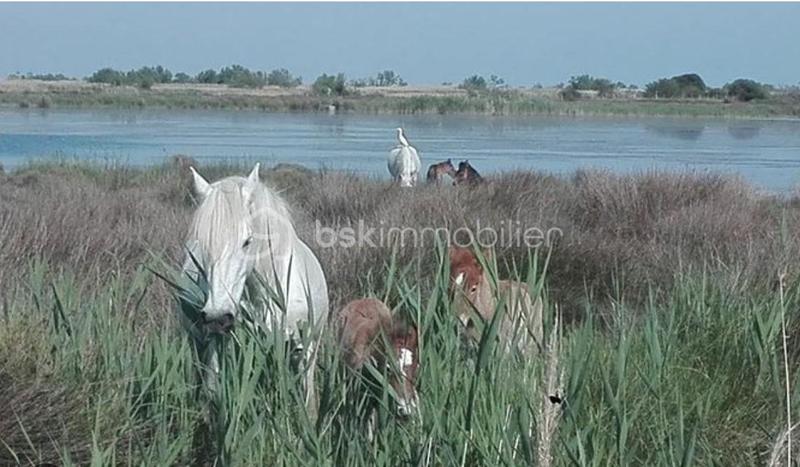 Maison de ville - 78 m² - 5 pièces