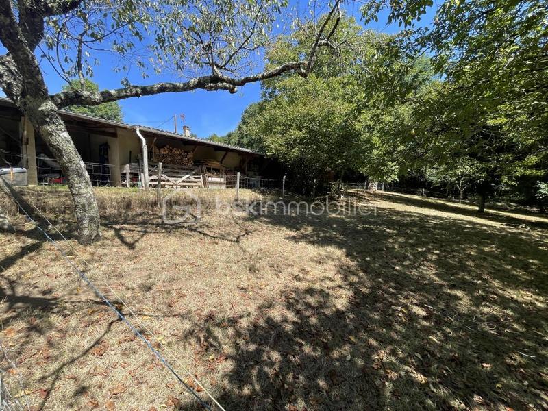 Maison de domaine équestre - 323 m² - 8 pièces