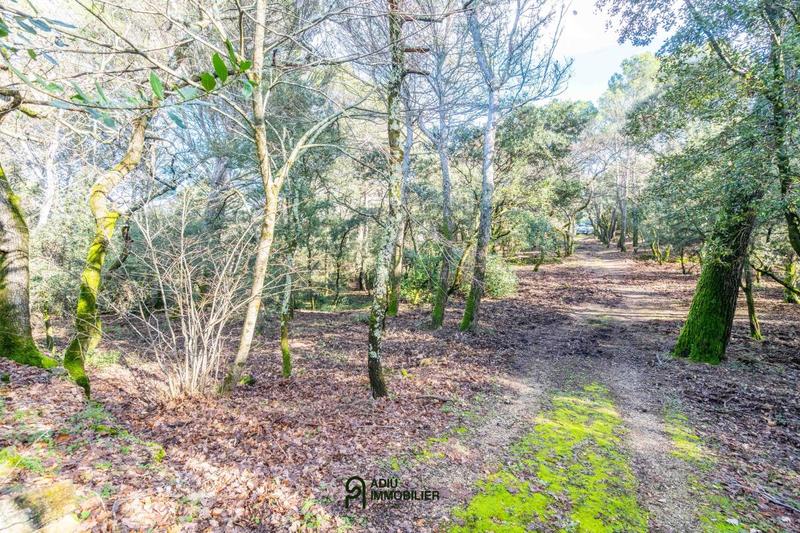 Terrain constructible - 1 299 m²