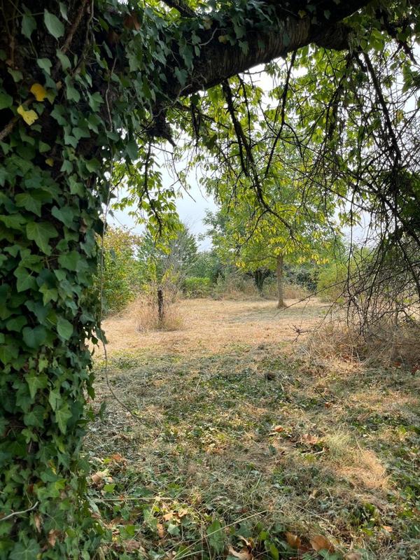 Ferme - 380 m² - 2 pièces