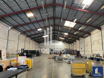 Local d'activité / Entrepôt - 1 310 m²