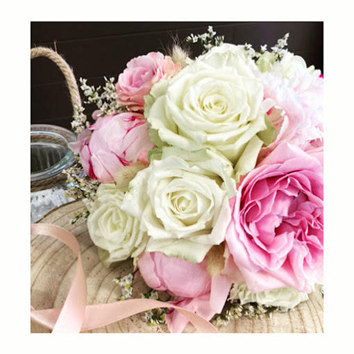 Histoires Naturelles