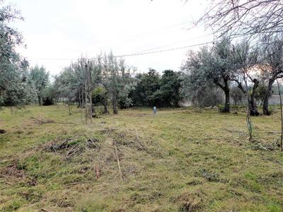 Terrain - 950 m²