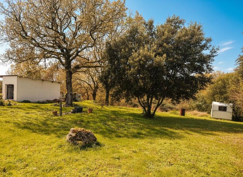 Maison - 115 m² - 3 pièces