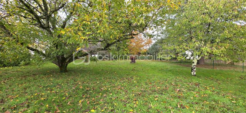 Terrain constructible - 1 050 m²