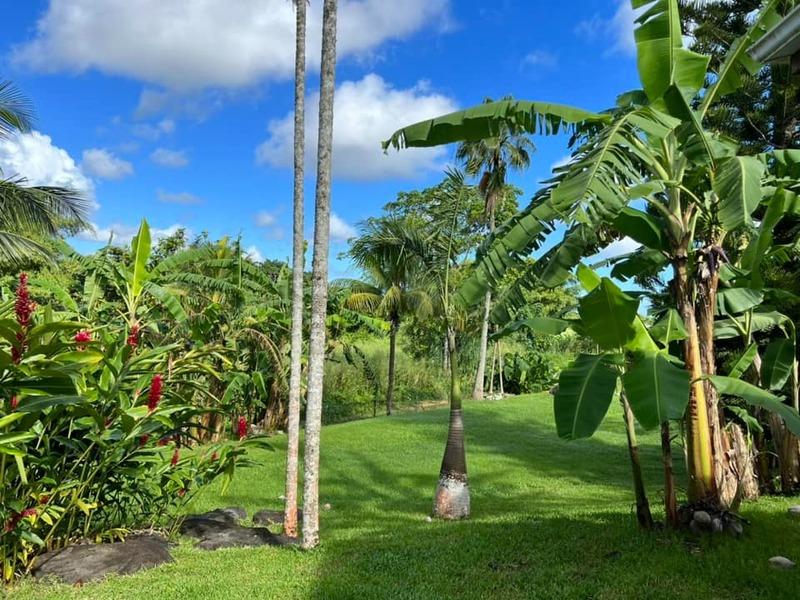 Villa - 340 m² - 8 pièces