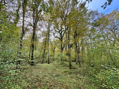 Terrain - 82 016 m²