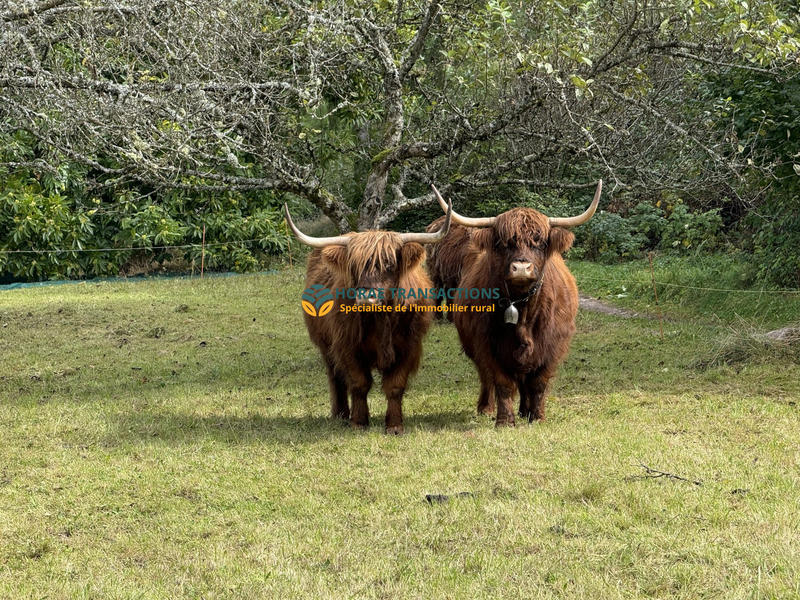 Maison - 323 m² - 15 pièces