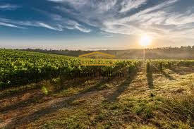 Mas - 186 m² - 7 pièces