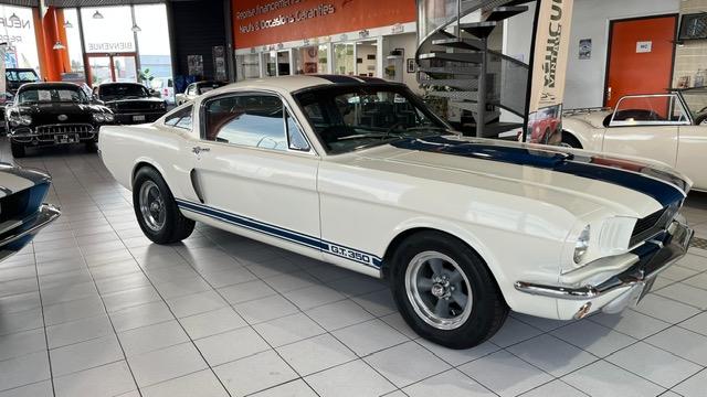 Ford Mustang Fastback Clone Gt 350 1965