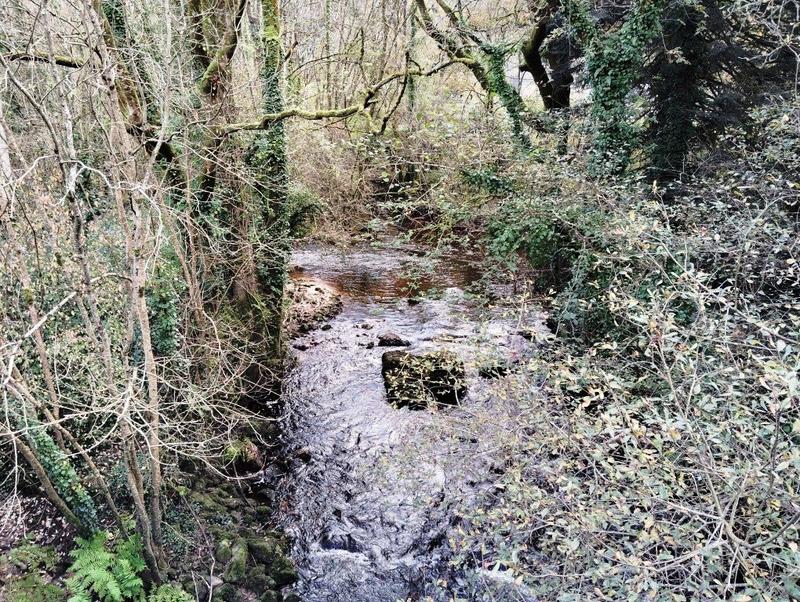 Fonds de commerce - 795 m²