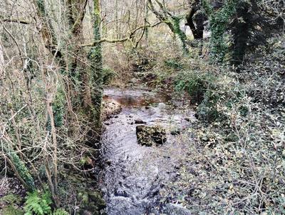 Fonds de commerce - 795 m²