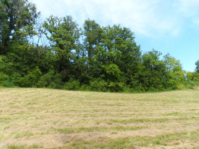 Terrain - 2 500 m²