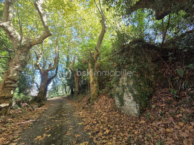 Immeuble - 1 500 m² - 37 pièces