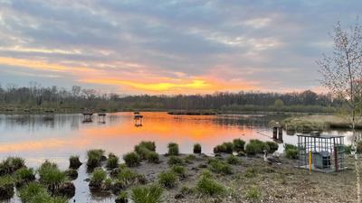 Terrain - 1 030 000 m²