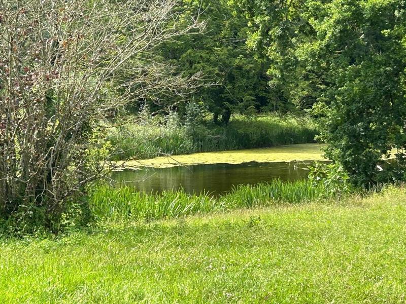 Maison - 484 m² - 12 pièces