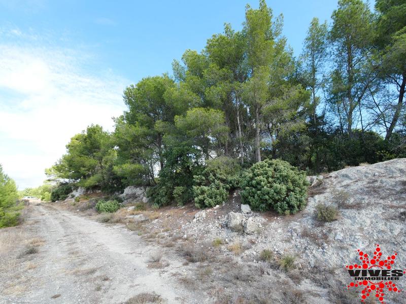 Terrain de loisirs - 23 990 m²