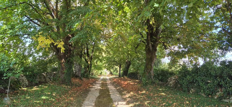 Propriété - 229 m² - 7 pièces