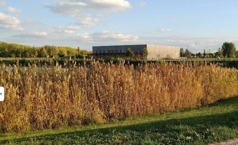 Bourse multi collection