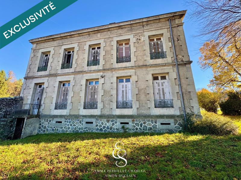 Maison de maîtres - 380 m² - 12 pièces